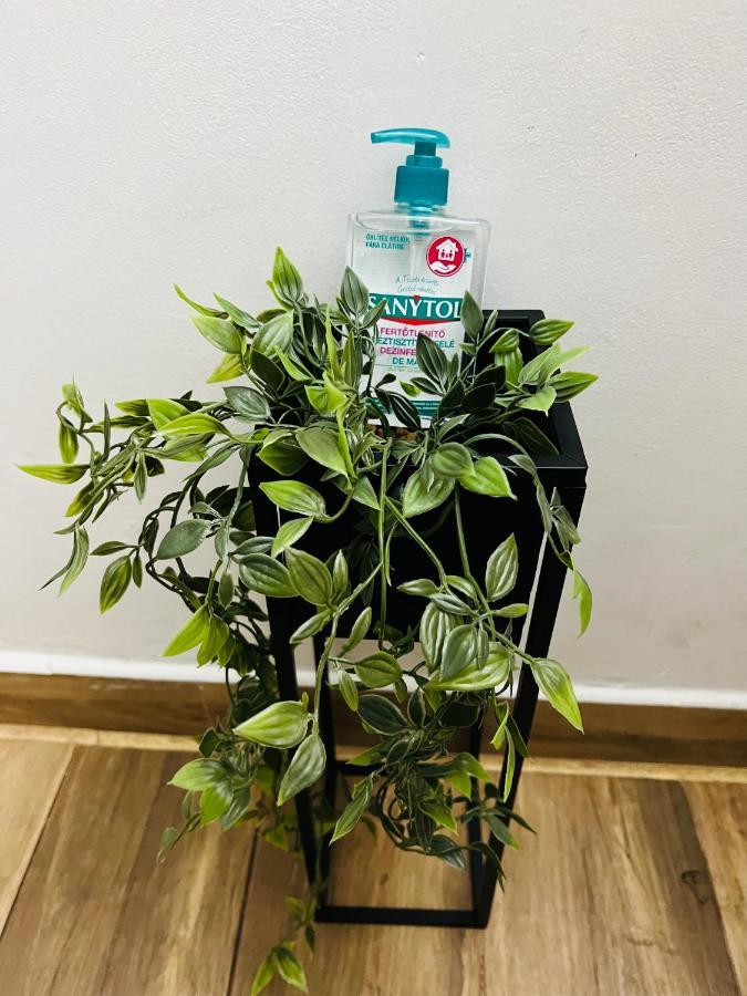Altheda Living Tineretului E8 Lägenhet Suceava Exteriör bild